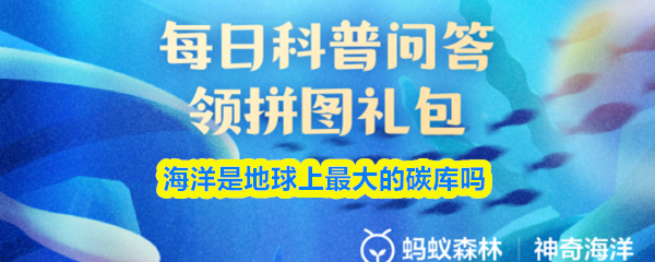 海洋是地球上最大的碳库吗(图1)