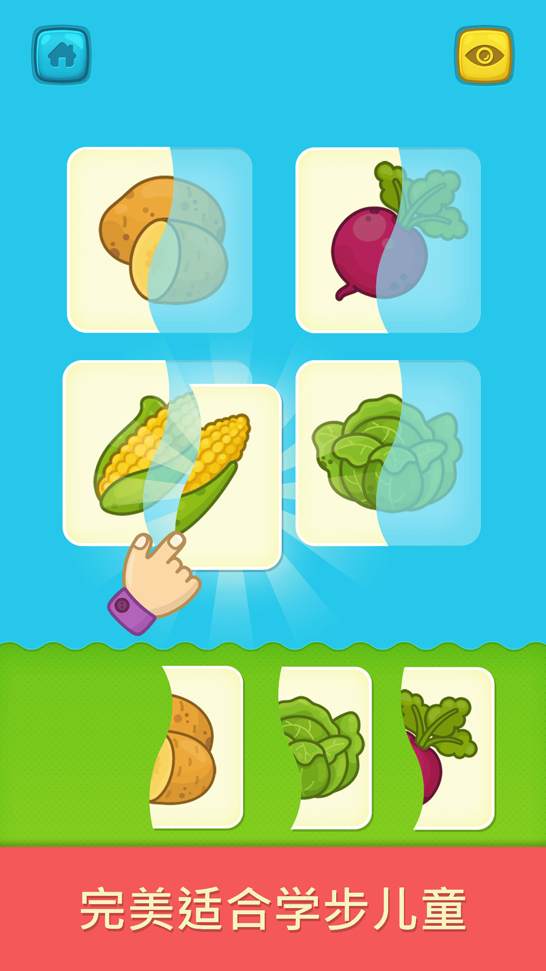 奇贝宝宝抽认卡