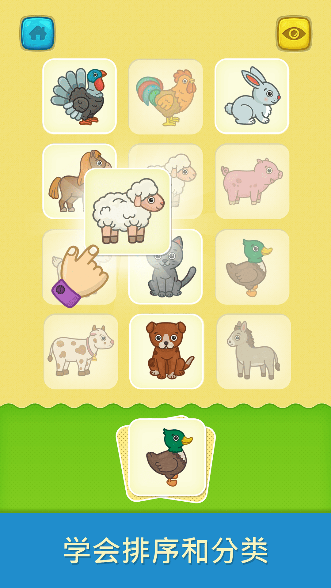 奇贝宝宝抽认卡