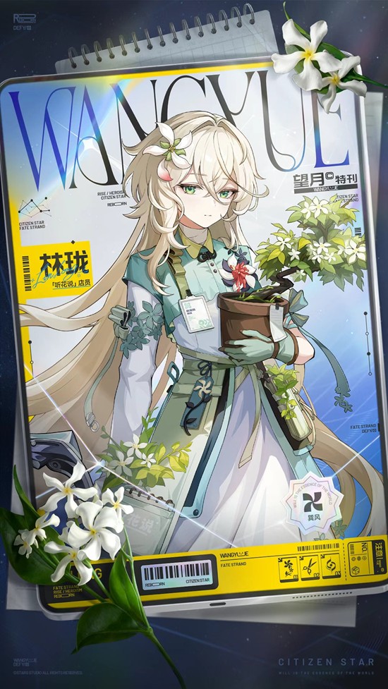 《望月》听花说店员林珑介绍