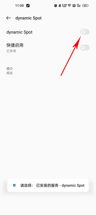 Dynamicspot灵动岛 2026最新版(图8)
