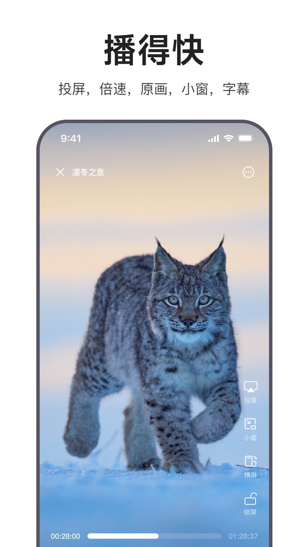 迅雷浏览器 历史版本