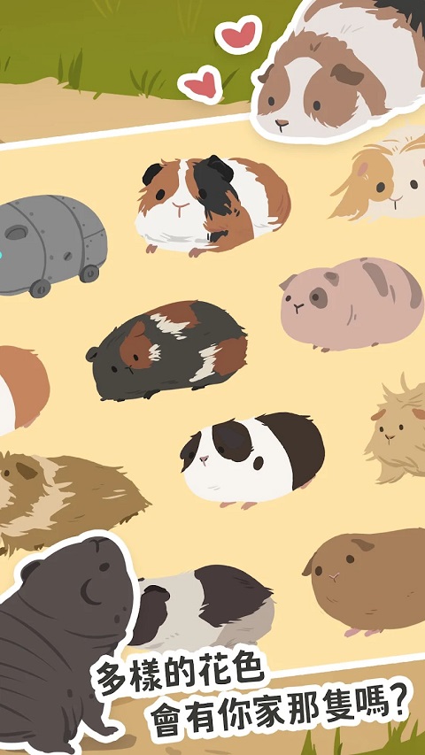 天竺鼠农场 官方正版