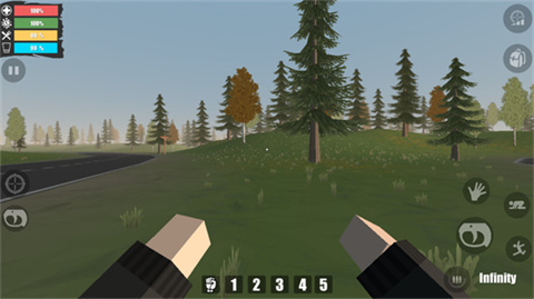 FateZ僵尸生存中文版