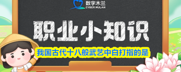 我国古代十八般武艺中白打指的是(图1)
