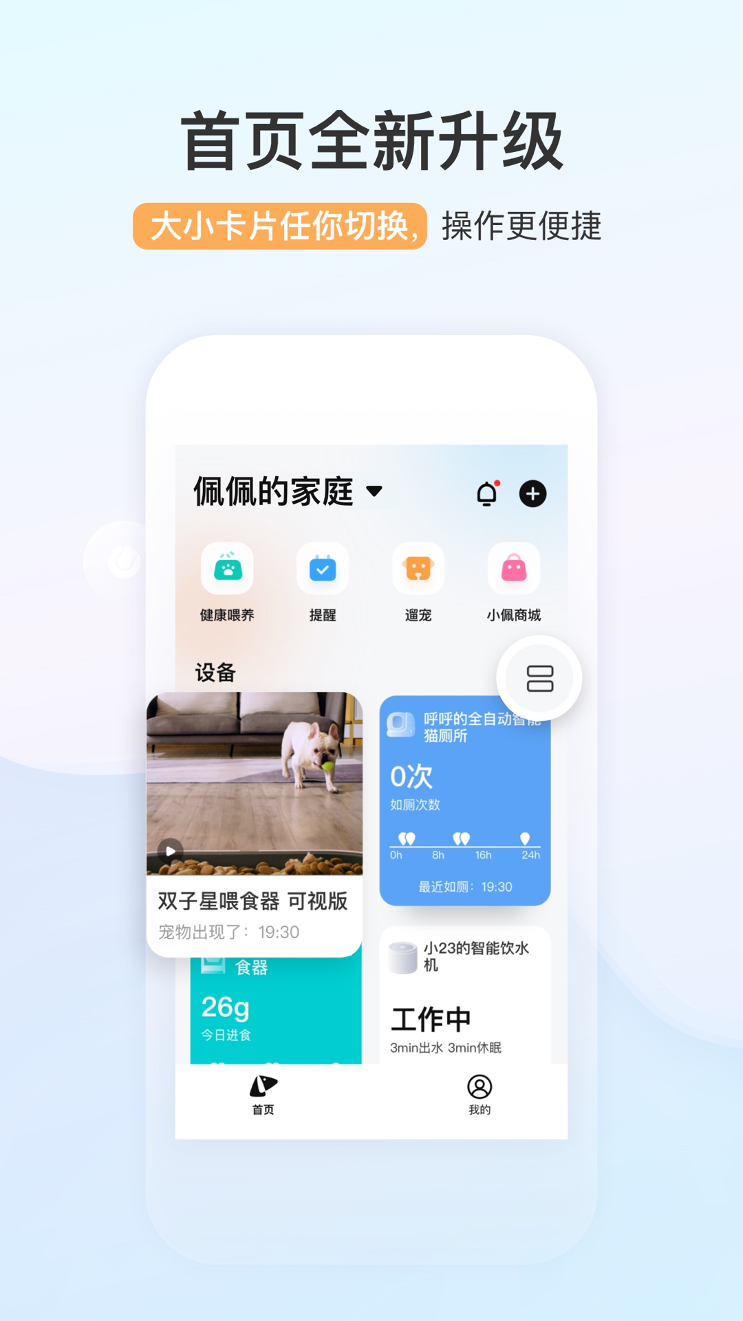小佩宠物app