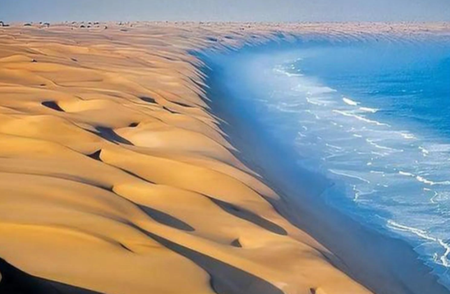 哪种现象会加速“海洋沙漠化”？