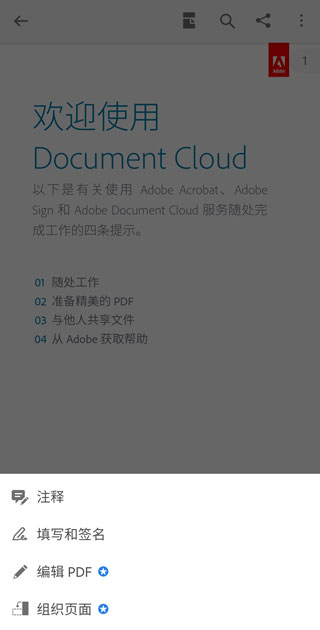 Adobe reader(图4)
