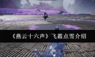《燕云十六声》飞霜点雪介绍