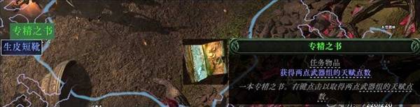 流放之路2 0.4召唤女巫开荒BD攻略