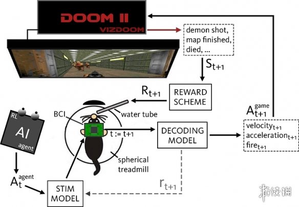 老鼠也能玩《毁灭战士》? VR装置2.0开源设计图公布(图2)