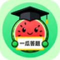一瓜答题