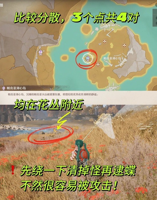 朝朝蝶暮暮蝶收集攻略3