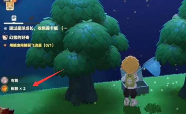 星布谷地树胶作用及获取方法3