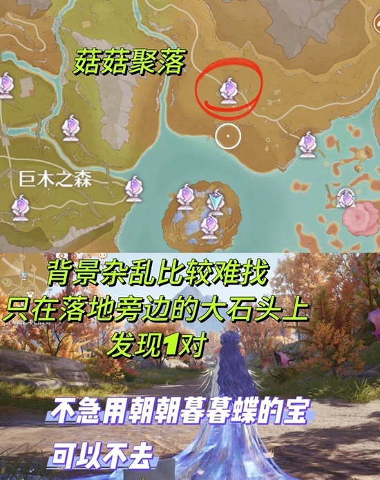 朝朝蝶暮暮蝶收集攻略4