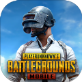 Pubg Mobile地铁逃生国际服 2026最新版