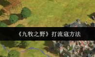 《九牧之野》打流寇方法