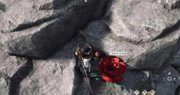 燕云十六声万事知花中愿任务攻略5