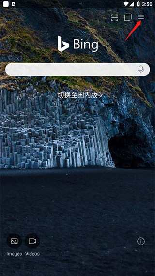 bing(图2)
