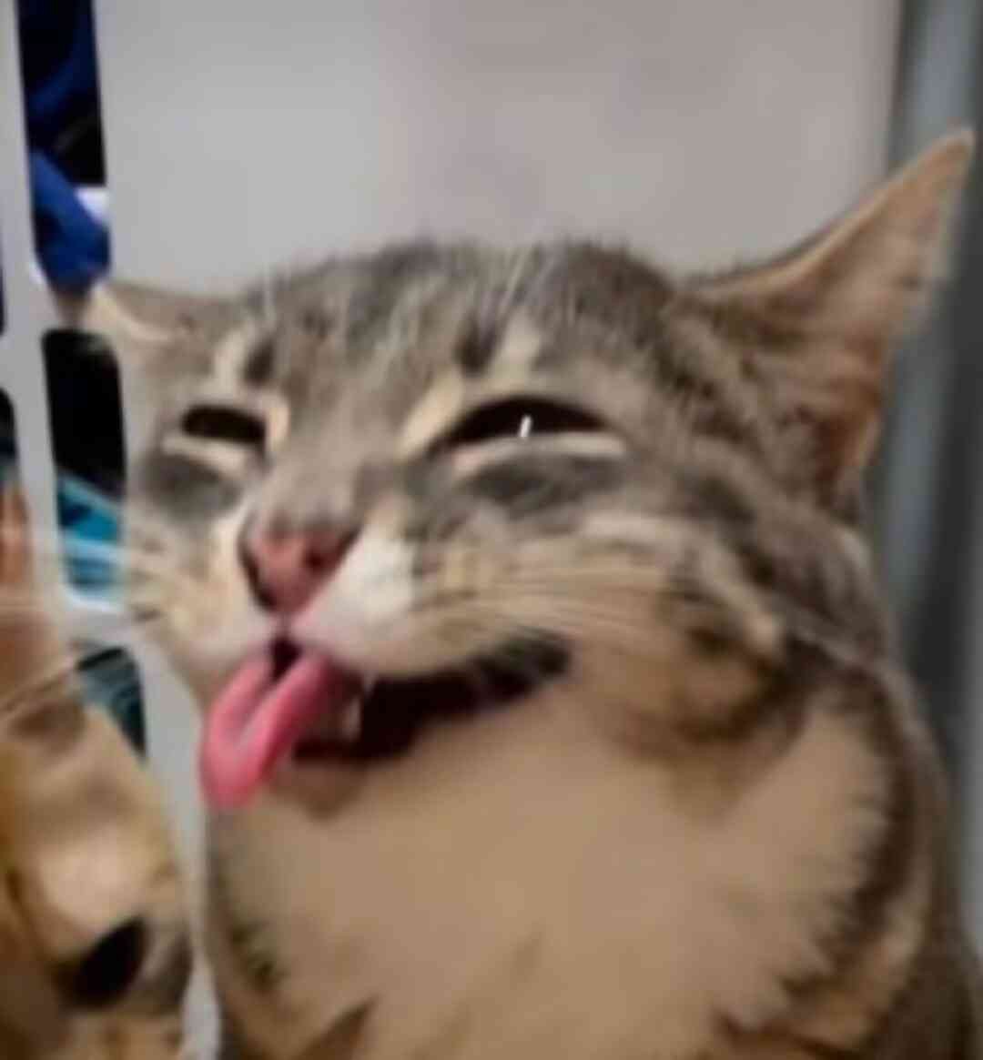 魔枪士，启动！剑灵怀旧服迎来史上最重磅新赛季！