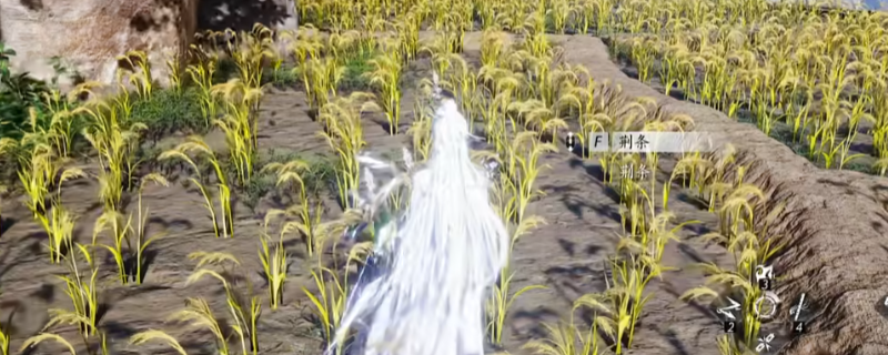 《燕云十六声》荆条材料获得方法介绍