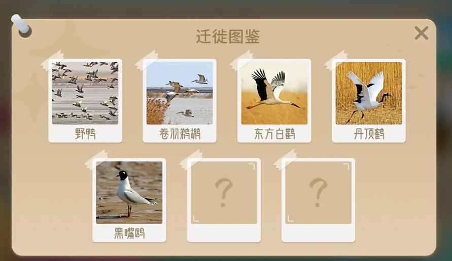 光遇黄河迁徙季活动建设值作用与奖励解锁(图3)