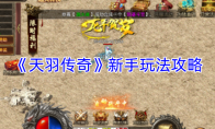 《天羽传奇》新手玩法攻略