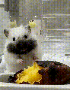 身材气势超绝在线 动图 要是我赢了就要和我(图1)