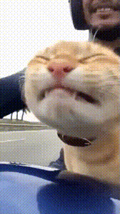 身材气势超绝在线 动图 要是我赢了就要和我(图2)