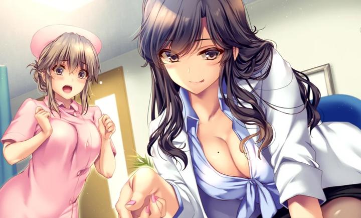 
我和她(护士)的研修日志 汉化版