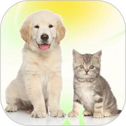 免费猫狗动物翻译器