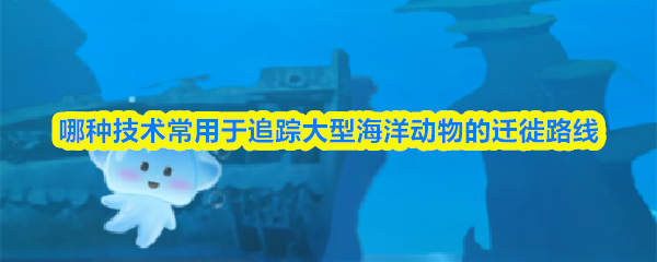 哪种技术常用于追踪大型海洋动物的迁徙路线(图1)