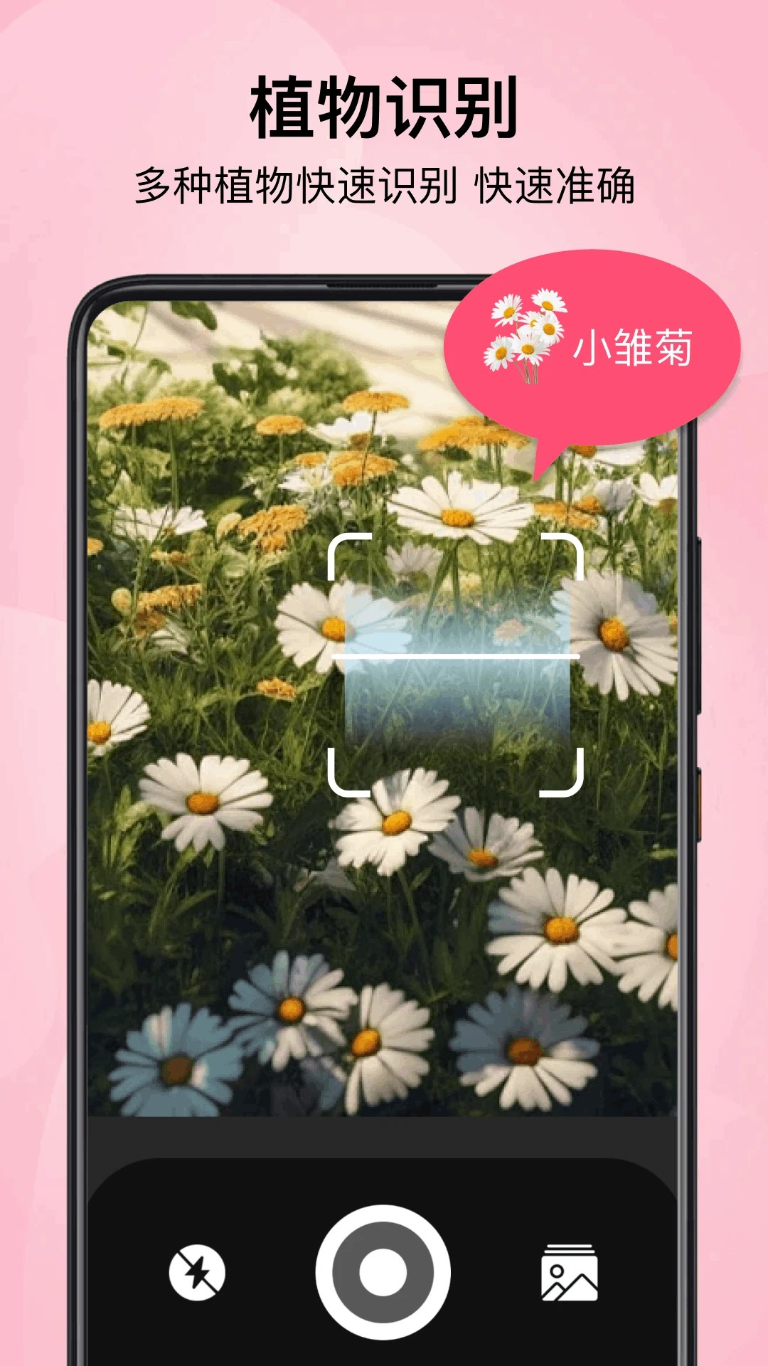 小园丁追剧 极速版(图1)