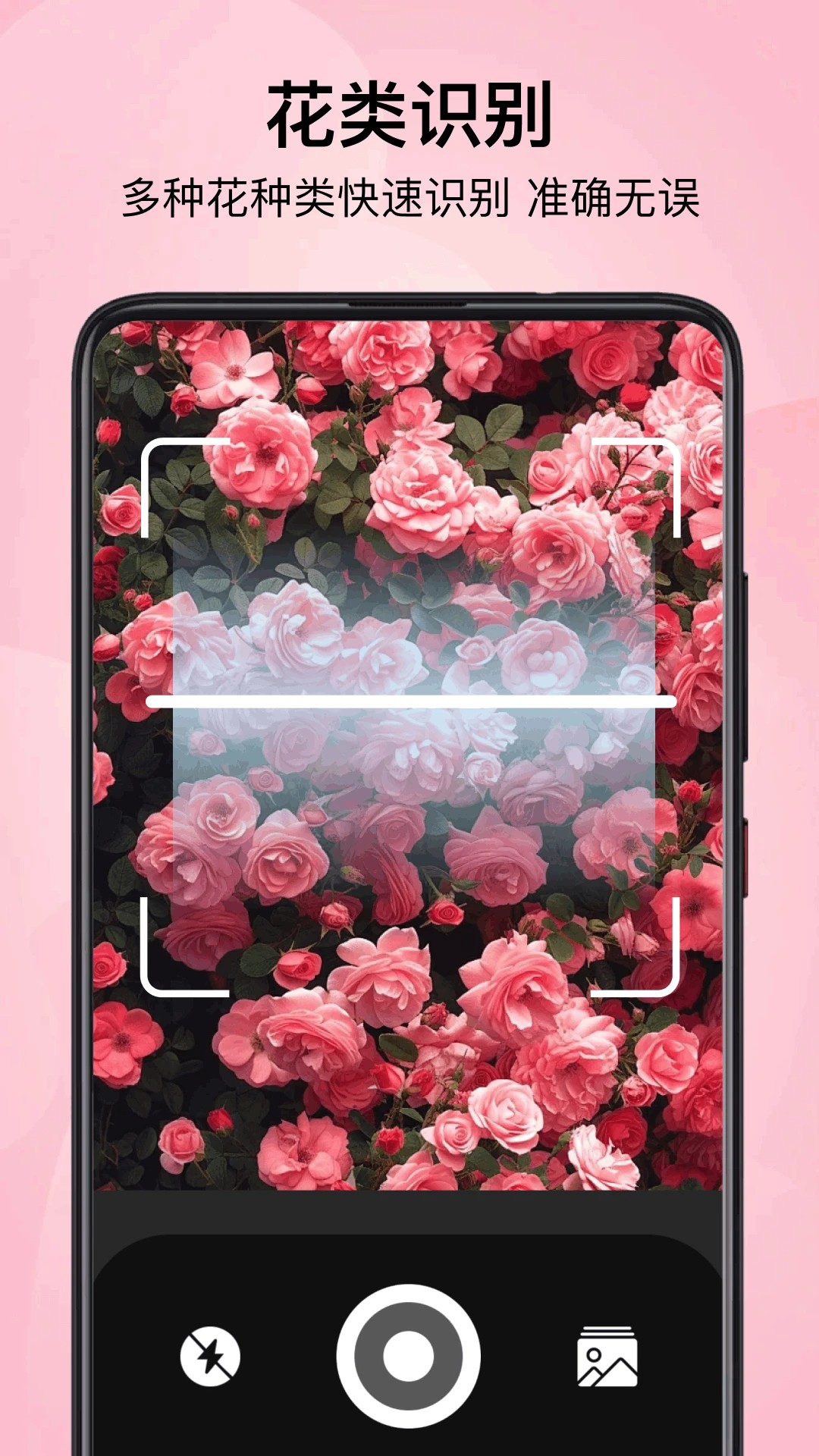 
小园丁追剧 极速版