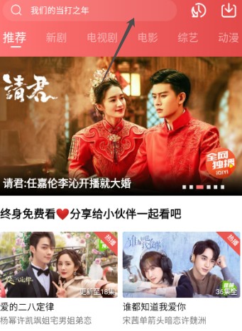 花火视频播放器(图2)