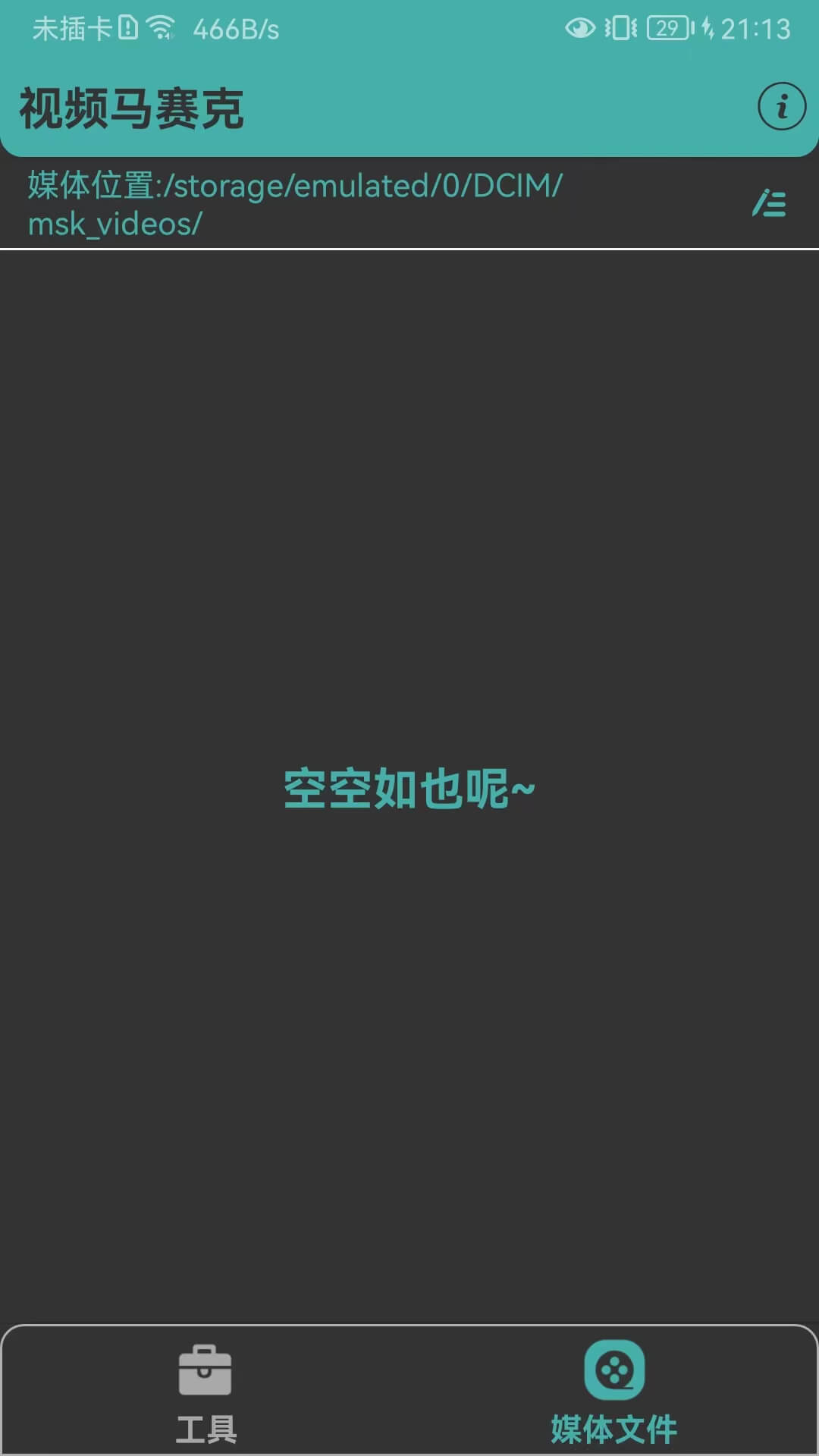 视频马赛克(图2)