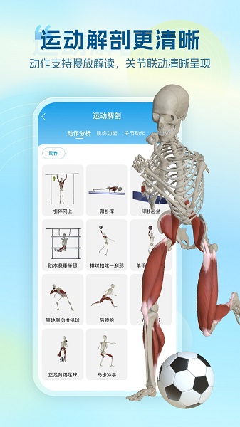 
维萨里3D解剖