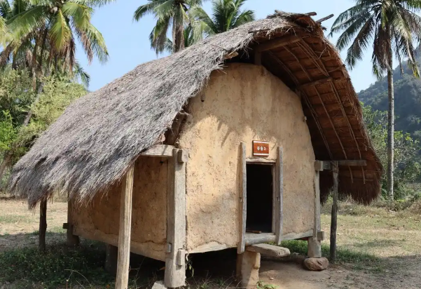 哪一项是海南黎族的传统民居？