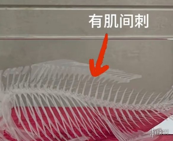 中国人终于对鱼刺下手了 中科院培育出“无刺”鲫鱼(图1)