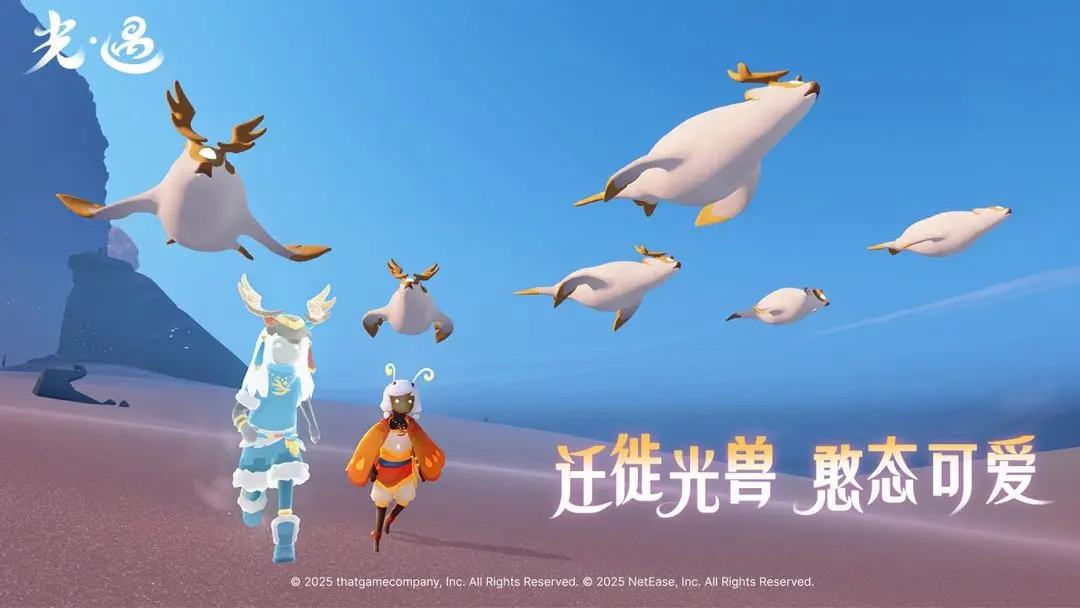 光·遇 2026最新版(图3)