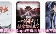 布袋鼠小说app至尊会员开通方法