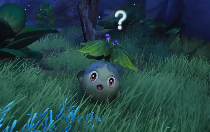 《伊莫》走调草介绍(图2)