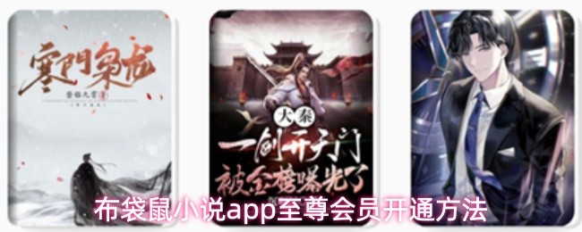 布袋鼠小说app至尊会员开通方法(图1)