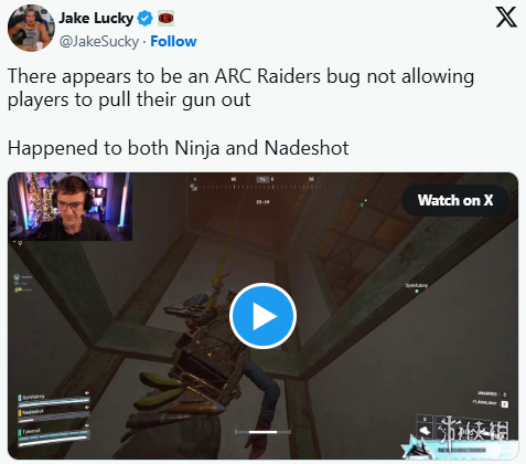 《ARC》玩家遭遇武器无法切换！直播事故频发引热议(图2)