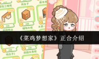 《菜鸡梦想家》正合介绍