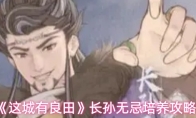 《这城有良田》长孙无忌培养攻略
