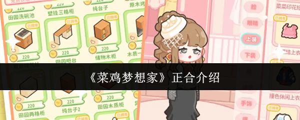 《菜鸡梦想家》正合介绍