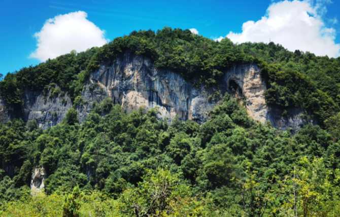 在神农架原始丛林旅游时，哪种防蚊虫办法更有效？