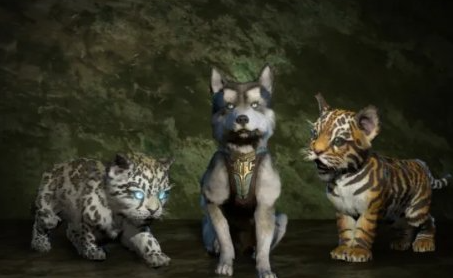 暗黑破坏神4免费宠物介绍(图2)