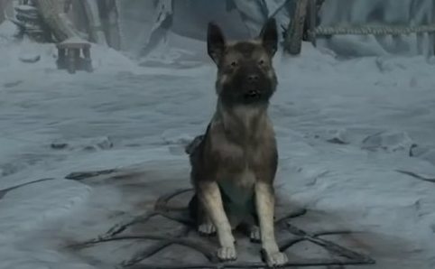 暗黑破坏神4免费宠物介绍